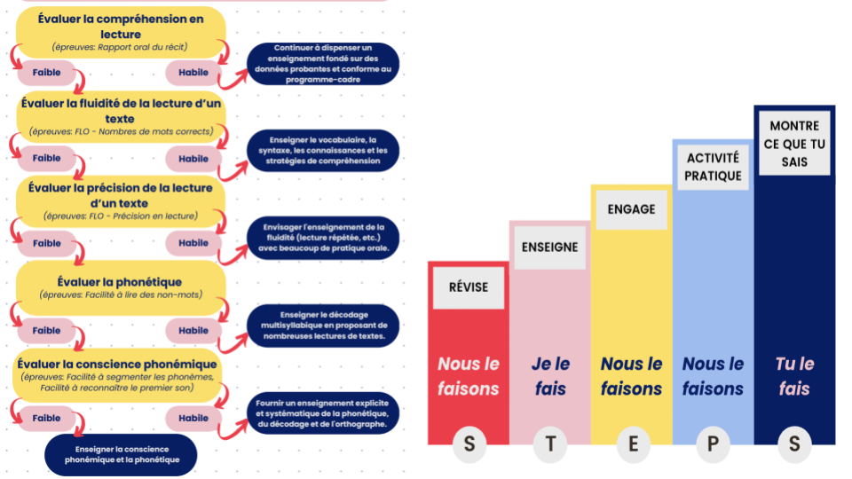 Next STEPS in Literacy Instruction: Étude de livre 2