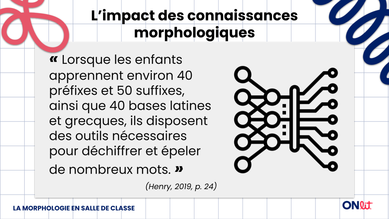 Les fondements essentiels de la morphologie 2