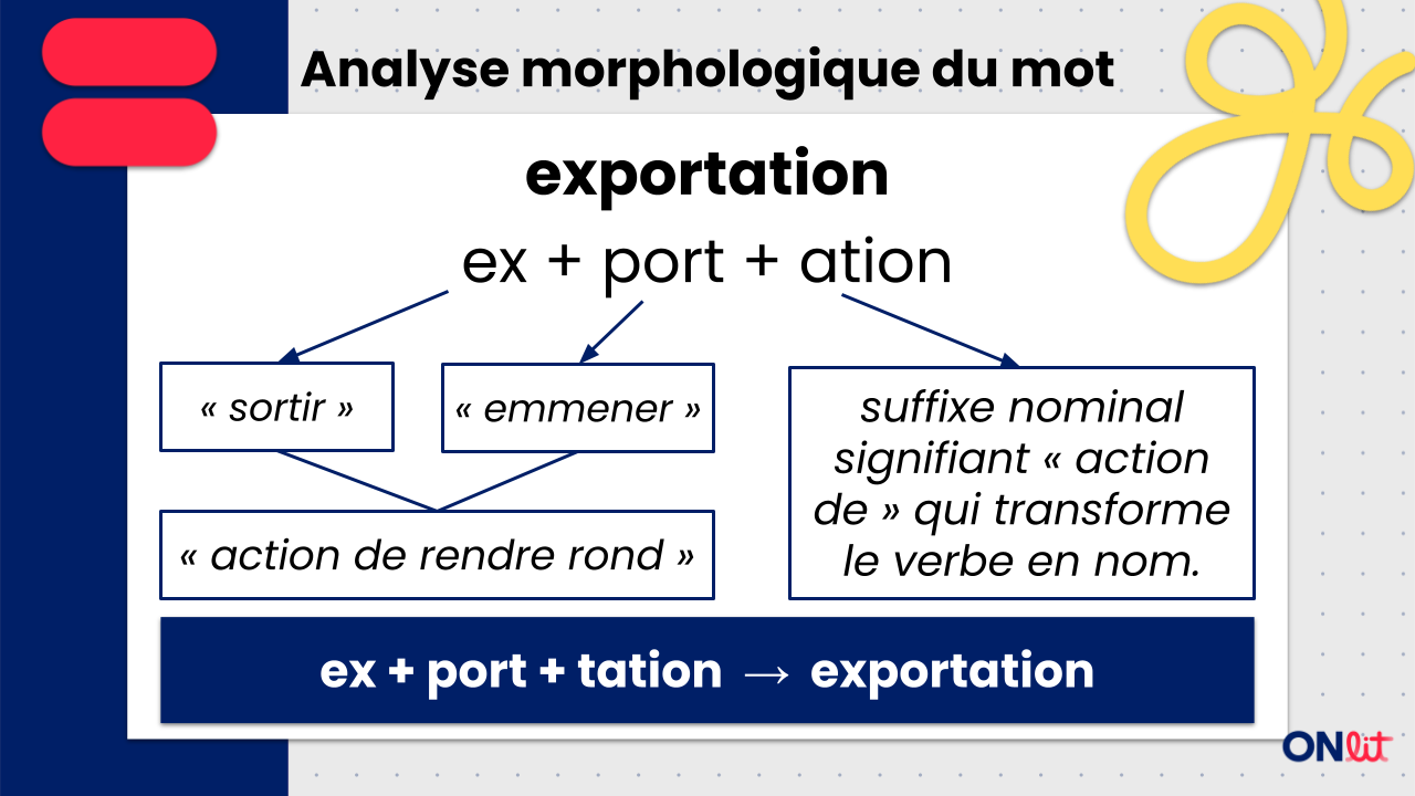 Les fondements essentiels de la morphologie 3