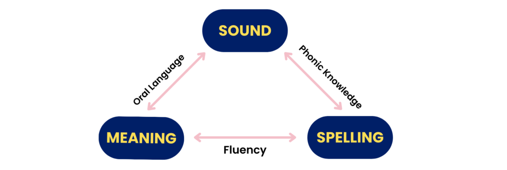 B2. Word-Level Reading and Spelling 1 Diagram linking sound, meaning and spelling